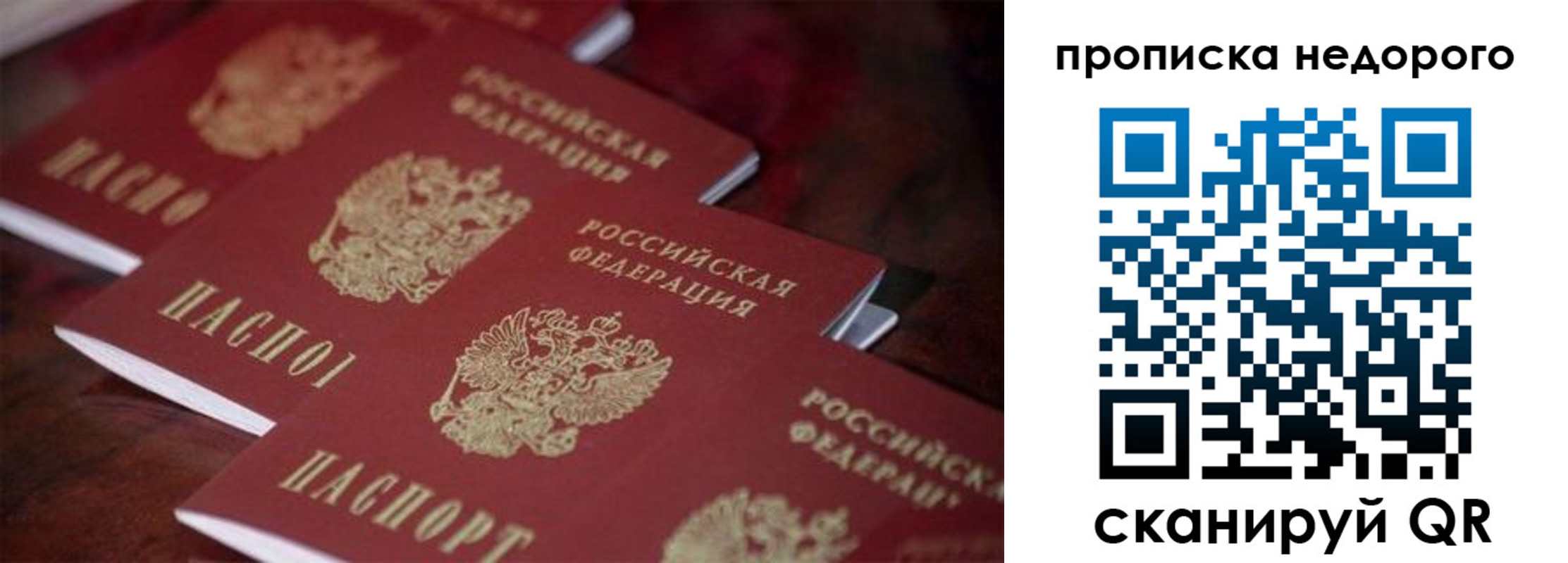 временная регистрация 2025 в Брянской области